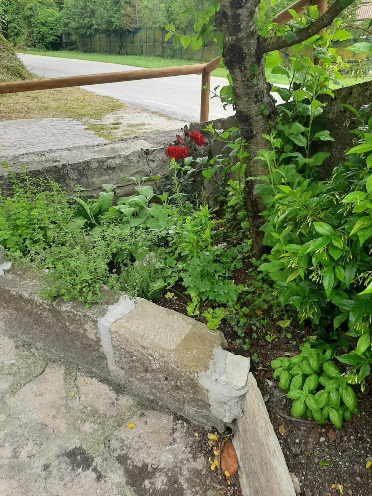 Il Caminetto Carpinone Exterior foto